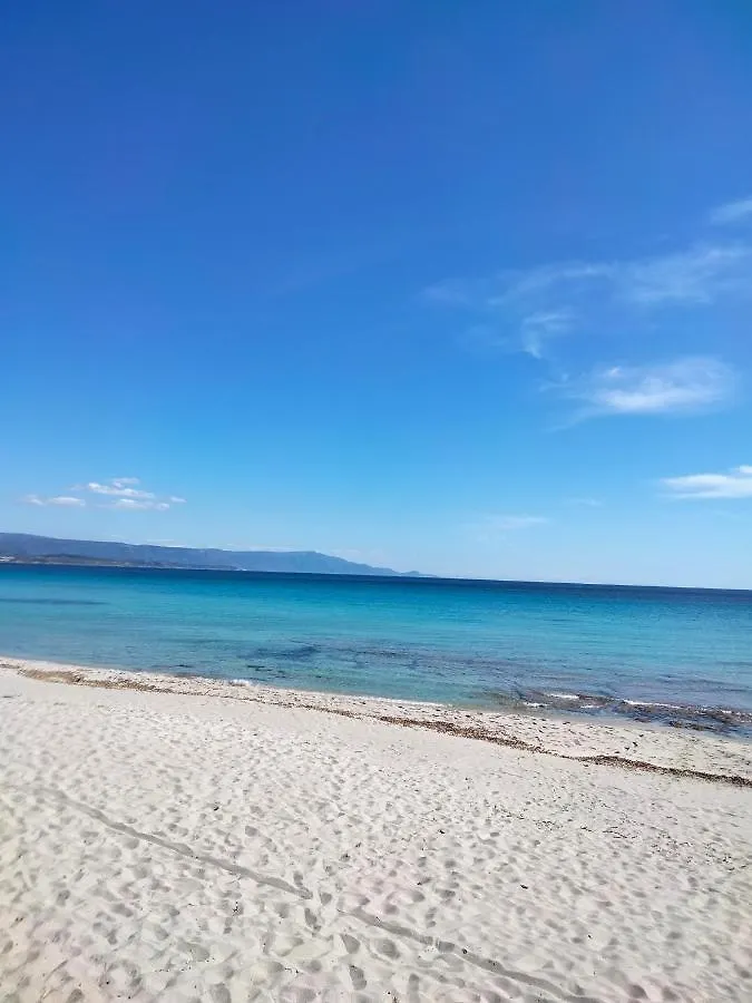 ** Affittacamere Hotel Il Mirto 2.0 Alghero Italia