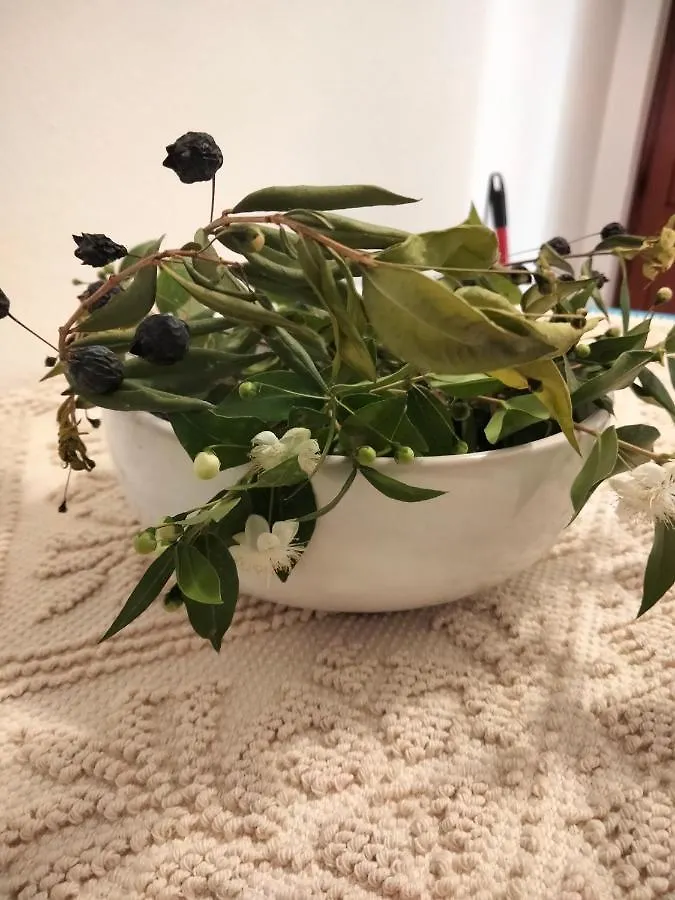 ** Gæstehus Il Mirto 2.0 Hotel Alghero Italien